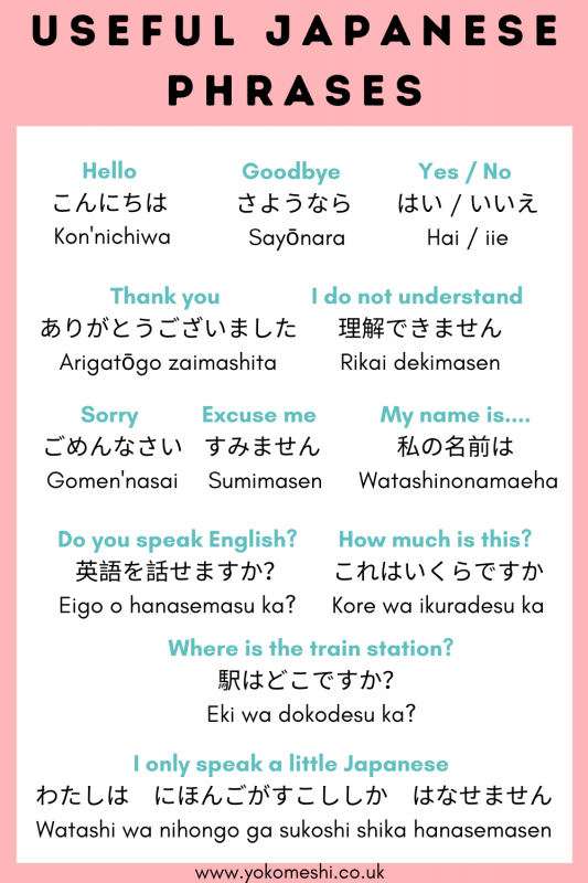 Learn TOP 30 Japanese Conversational Phrases: Easy Lesson.