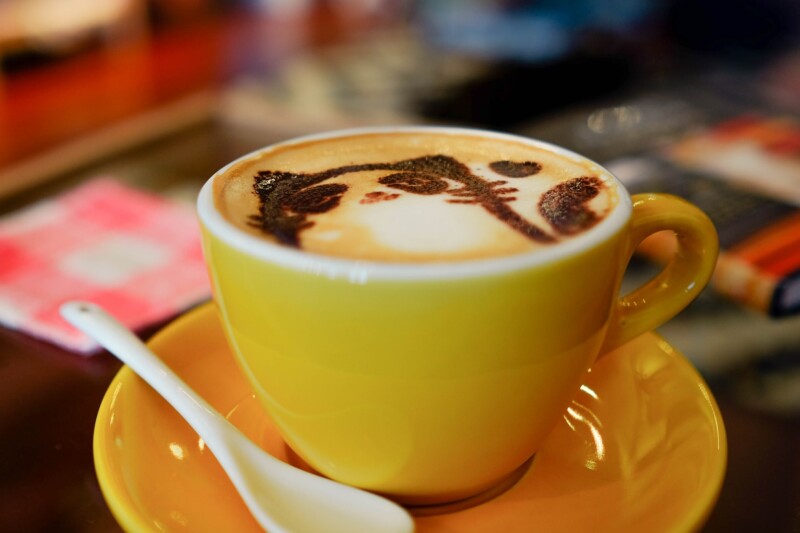 cat latte after